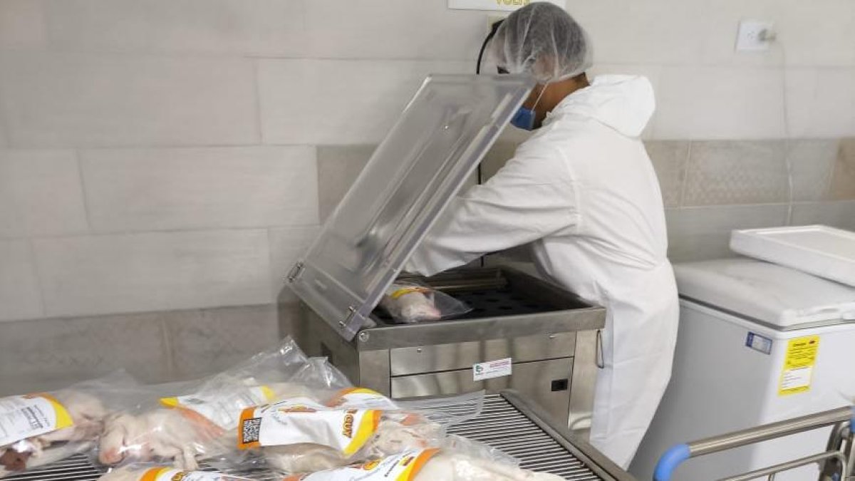 Un trabajador en la planta de Mr. Cuy, firma que impulsó la primera exportación.