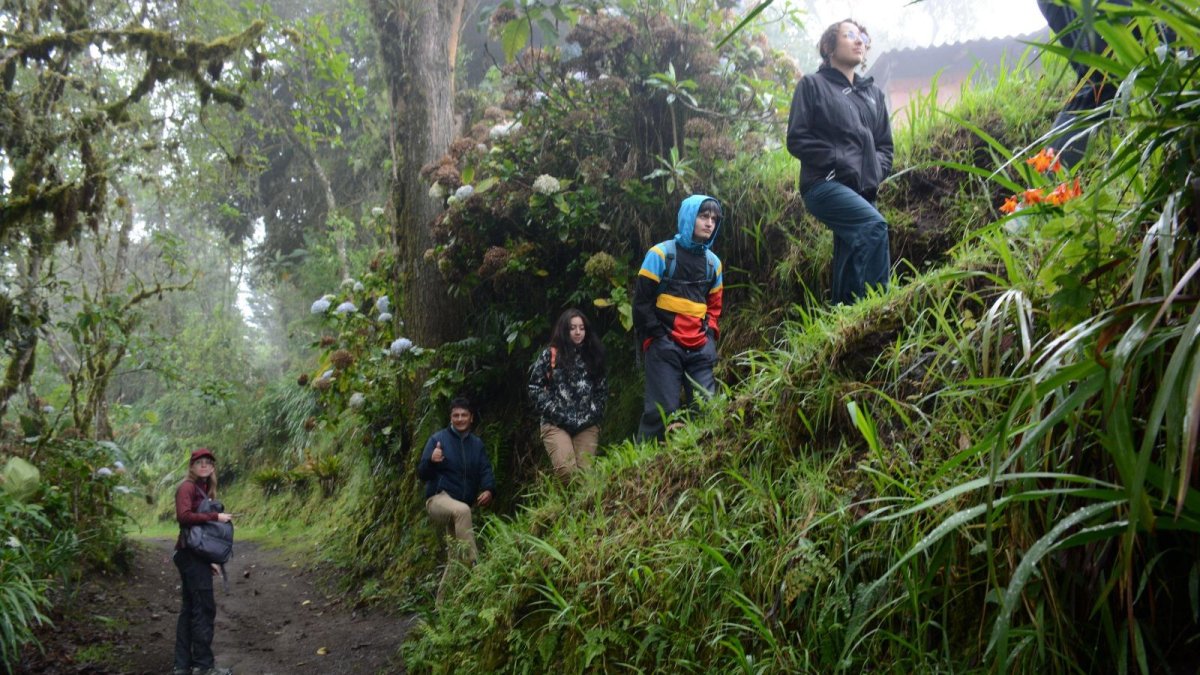 El senderismo a través de bosque nublado es uno de los atractivos de esta comunidad, enclavada entre el Pululahua y la reserva de Maquipucuna.