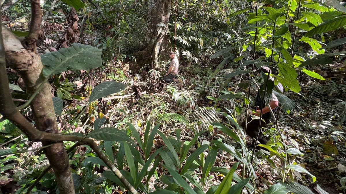 Caso. El cadáver del exconviviente de Ávala fue hallado en el monte.