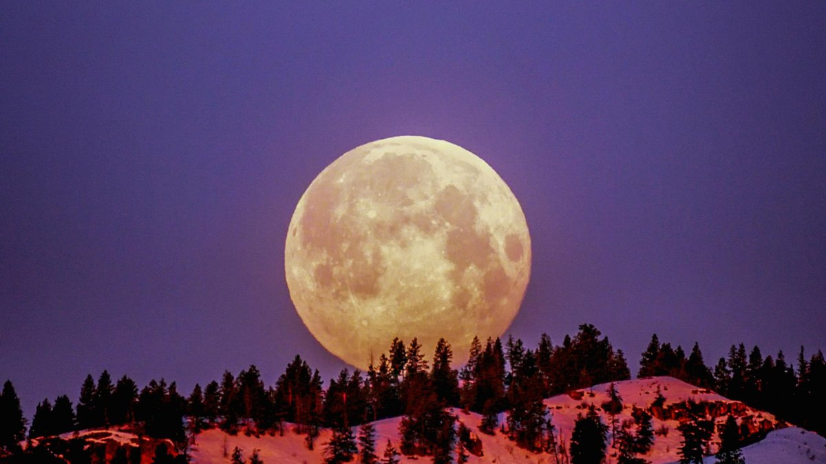 Referencial. Luna de Flores.