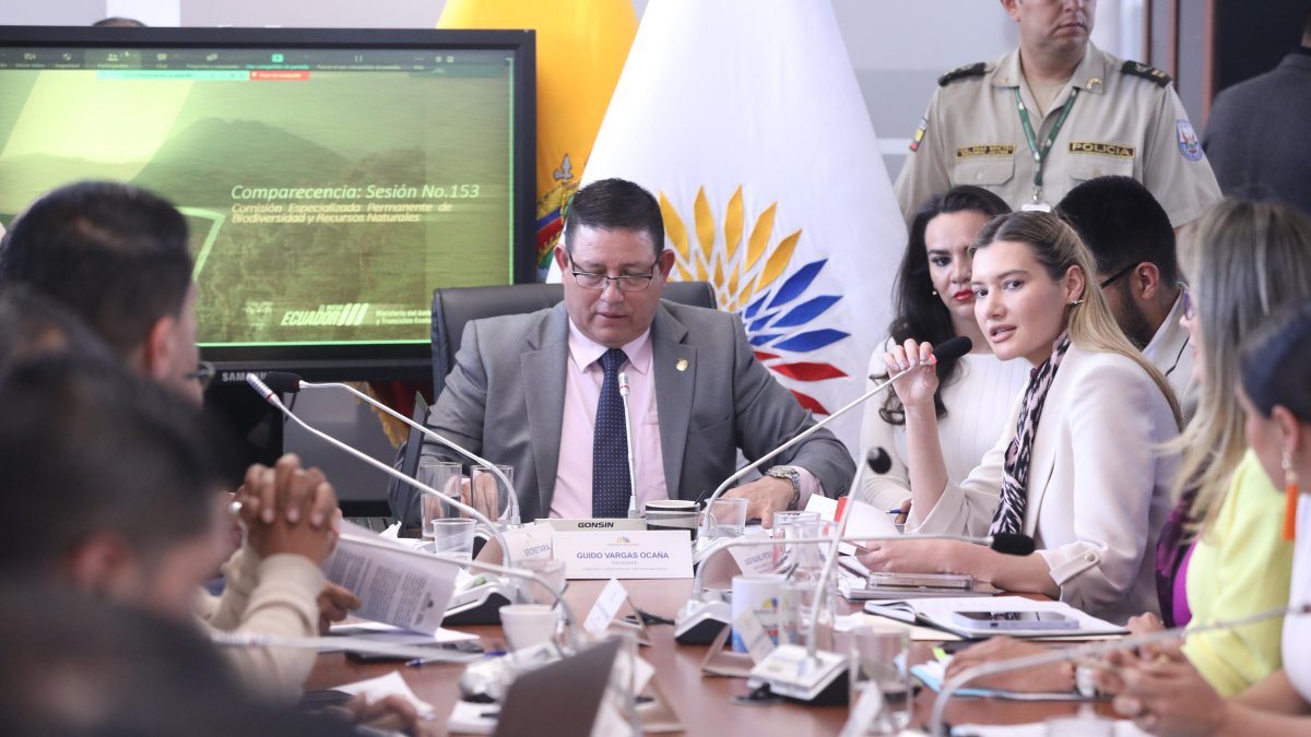 Sade Fritschi es la ministra más joven de Daniel Noboa.