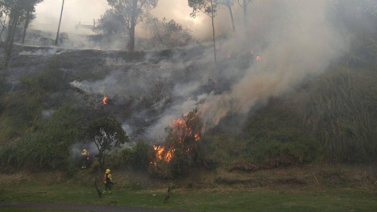 Los bomberos sofocaron el incendio forestal en El Sena, en el centro de Quito.