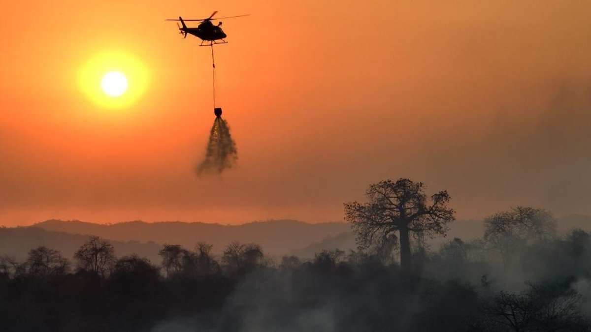 De acuerdo al SNGR, al momento hay 21 incendios forestales activos en las provincias de Imbabura, Azuay, Loja, Carchi, Chimborazo, Pichincha, El Oro y Cotopaxi.