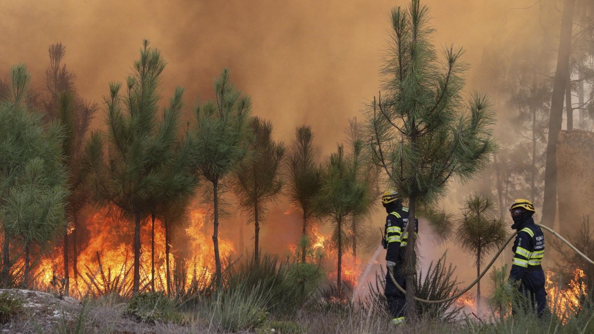 Varios bomberos trabajan en las labores de extinción de los incendios registrados en Portugal, este miércoles en Casal de Mundinho, ubicado en la comarca lusa de Mangualde (región Centro).