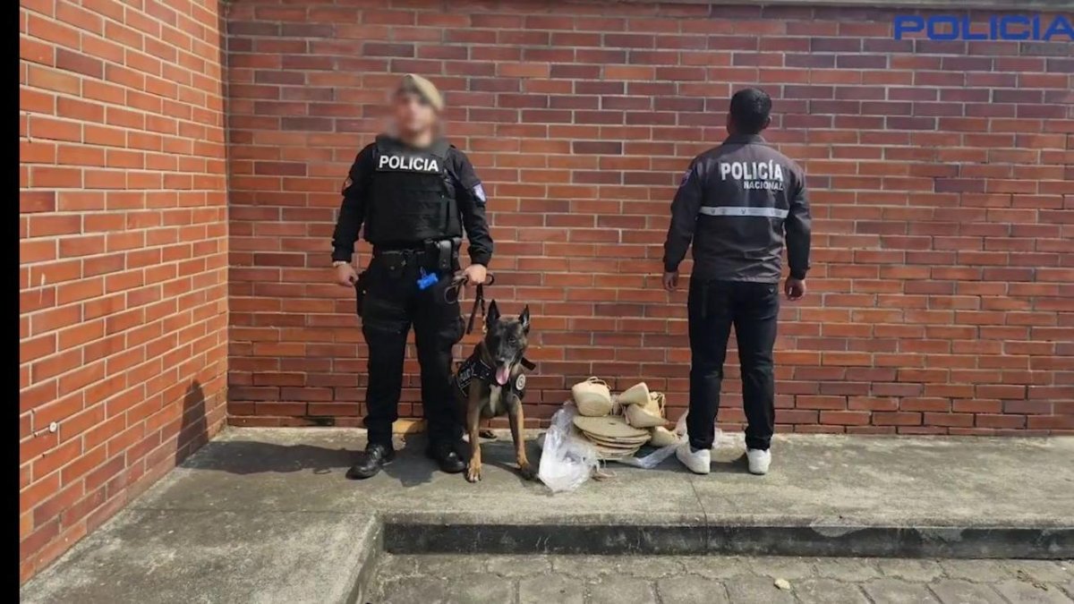 La droga fue encontrada en bolsas de paja toquilla y en un cartón de televisor.