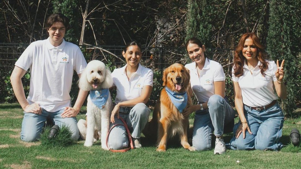 Sesiones personalizadas y beneficios tangibles para pacientes y comunidades de la mano de profesionales junto con la ayuda canina