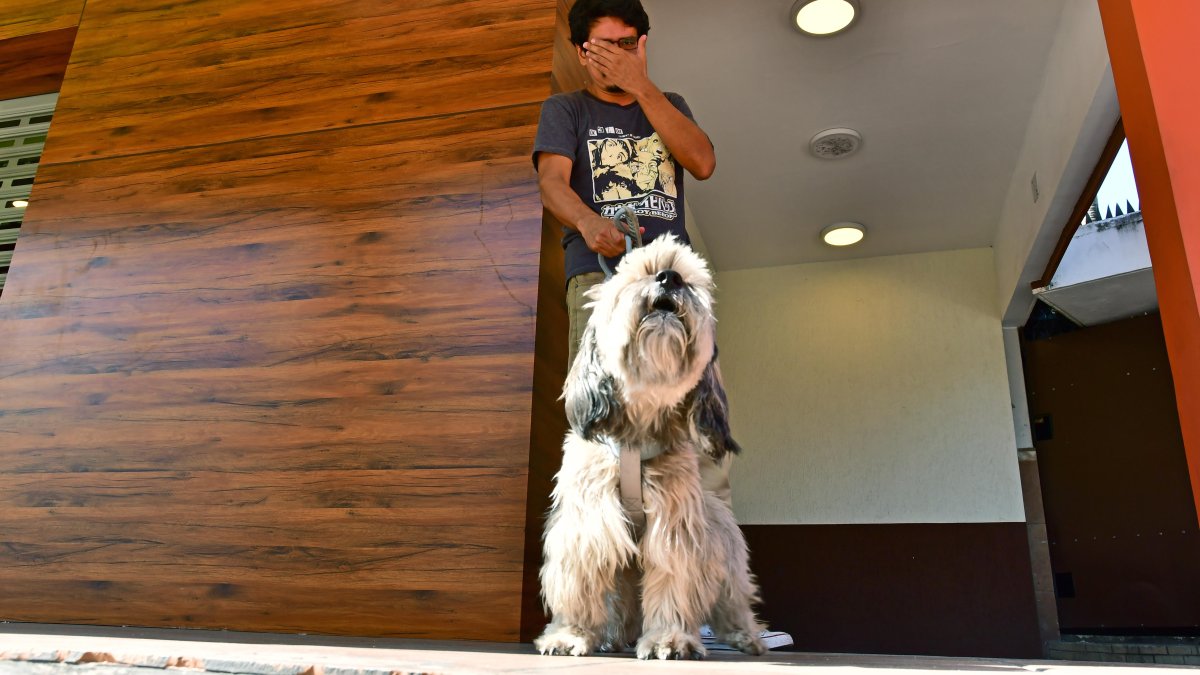 Los perros se ven particularmente afectados por los fuertes ruidos.