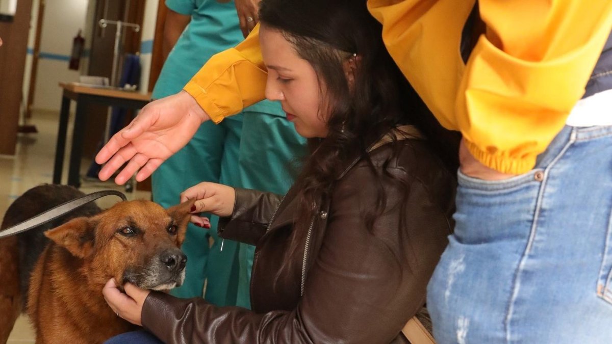 La Unidad de Bienestar Animal realiza jornadas de adopciones mensualmente en la capital.