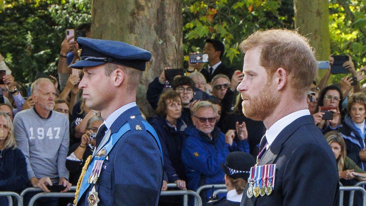 El Príncipe Harry pierde su apelación para contratar seguridad policial privada en el Reino Unido.