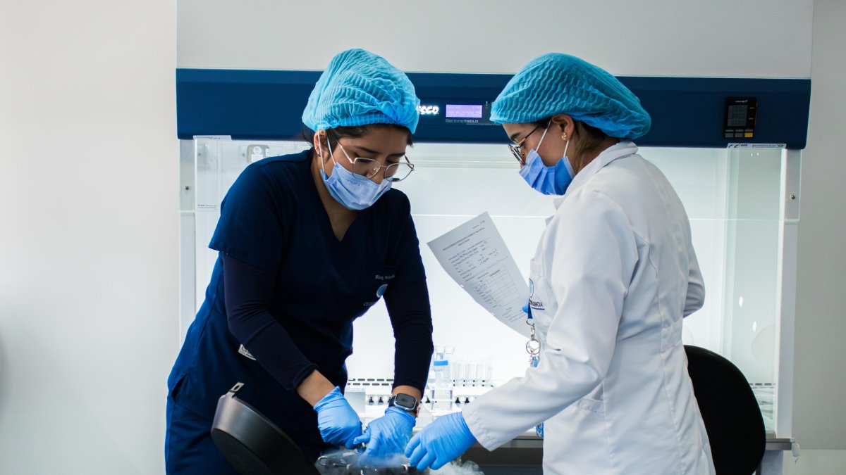 Parte del proceso consiste en solidificar los óvulos a temperaturas ultra bajas.