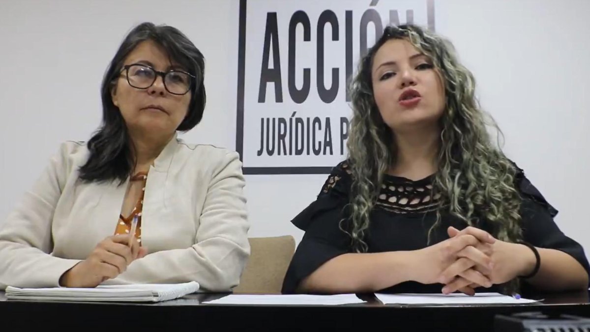 Priscila Schettini, en una intervención pública pasada.