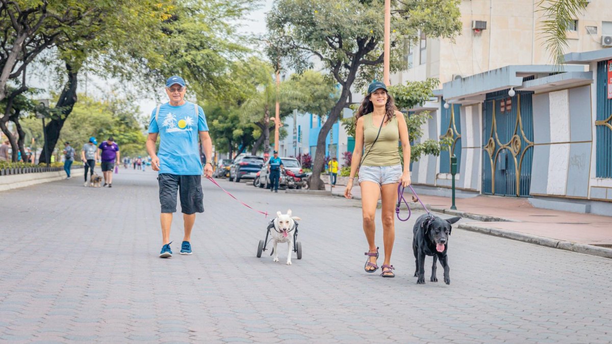 Varios tramos de la Víctor Emilio Estrada, como la semana pasada, serán peatonales este domingo 1 de junio.