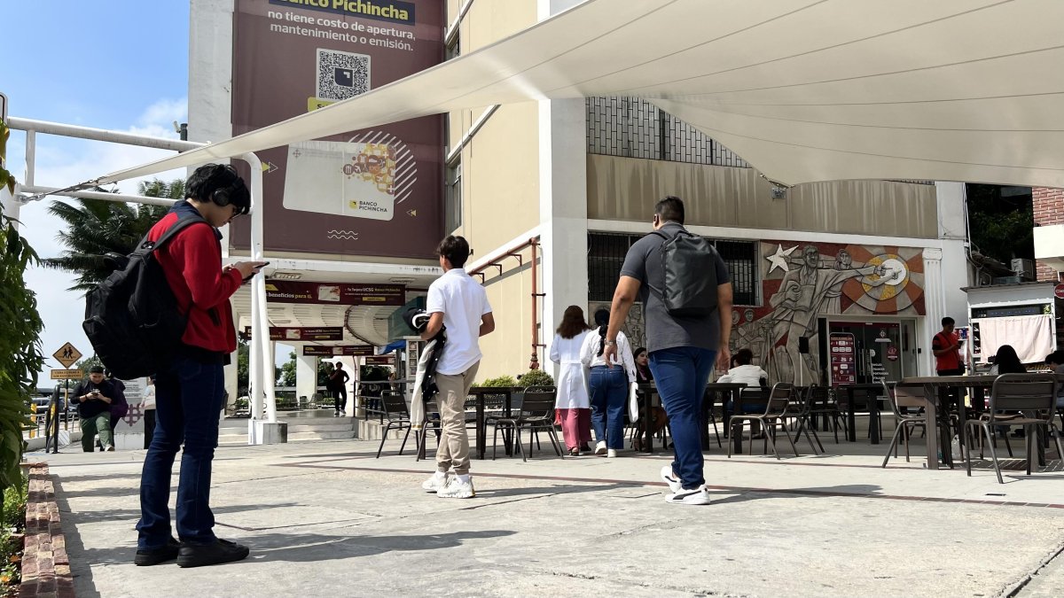 Un estudio que inició en septiembre de 2023, donde participaron cinco universidades de pregrado, reveló que la violencia se ha naturalizado en los entornos universitarios.