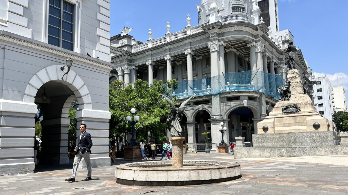 Caso ProAnimal: Municipio responde a críticas y aclara rol de Bianca Salame