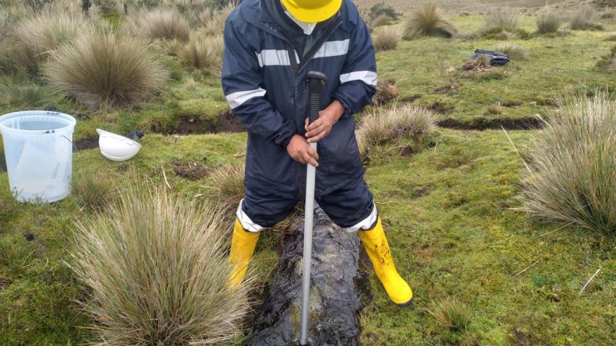 La tasa minera se debe cancelar en todos las etapas de desarrollo de esta actividad.