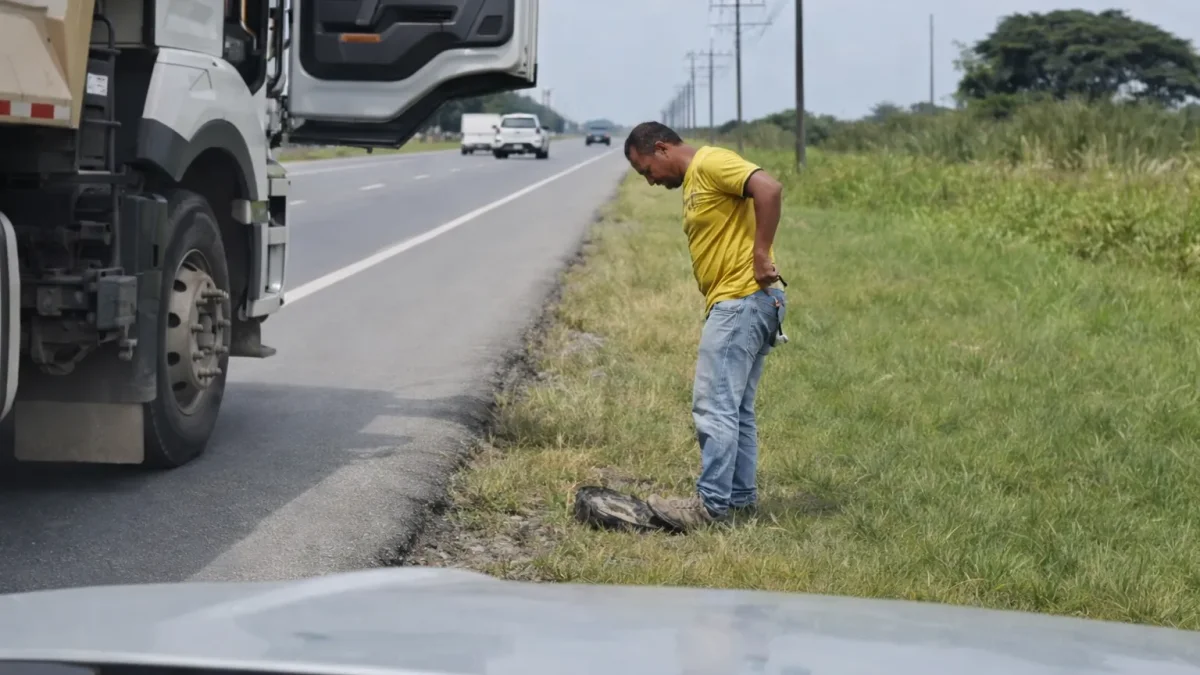 Municipio de Guayaquil identifica volqueta que se llevó una tortuga: pertenece a contratista