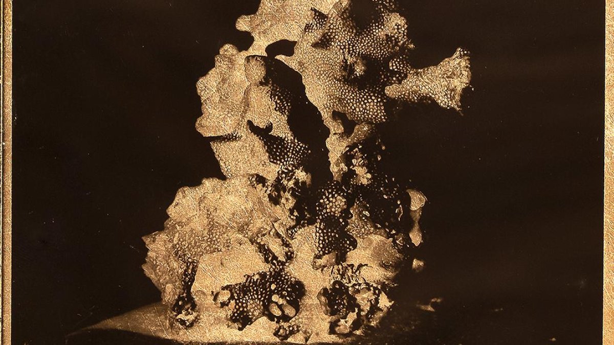 Las obras de Leonor Jurado plasman la fragilidad de la vida en la exposición Memento Mori