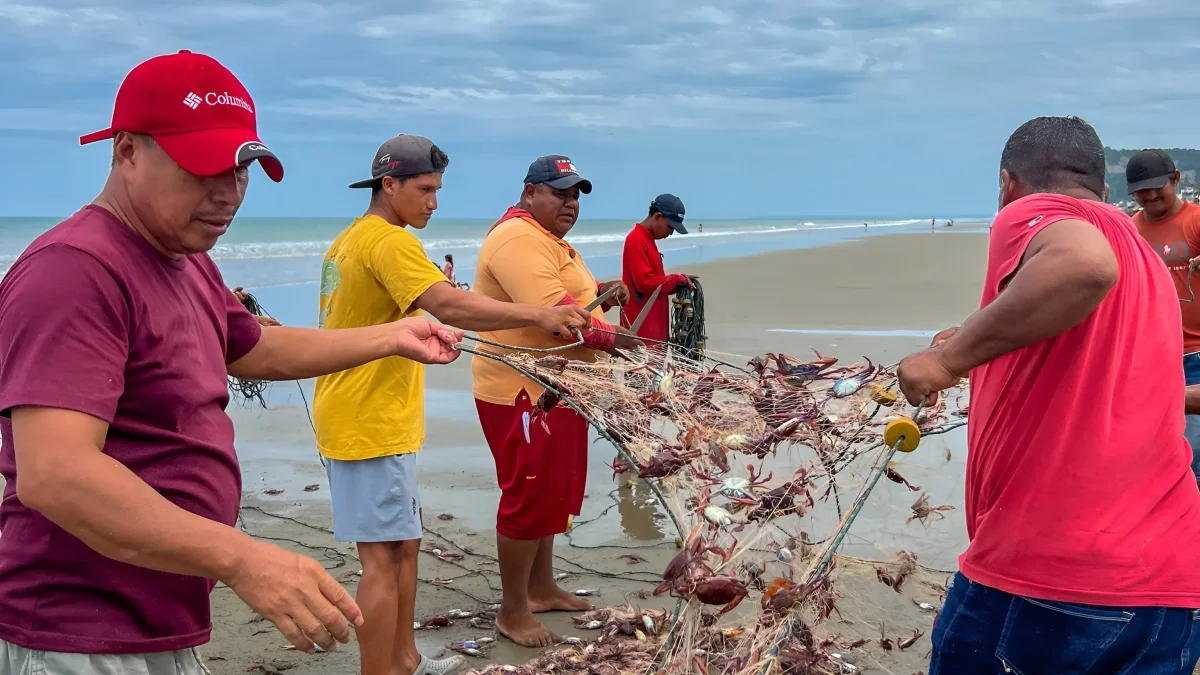 Trabajadores al pie del mar muestran la red dañada y llena de las jaibas.