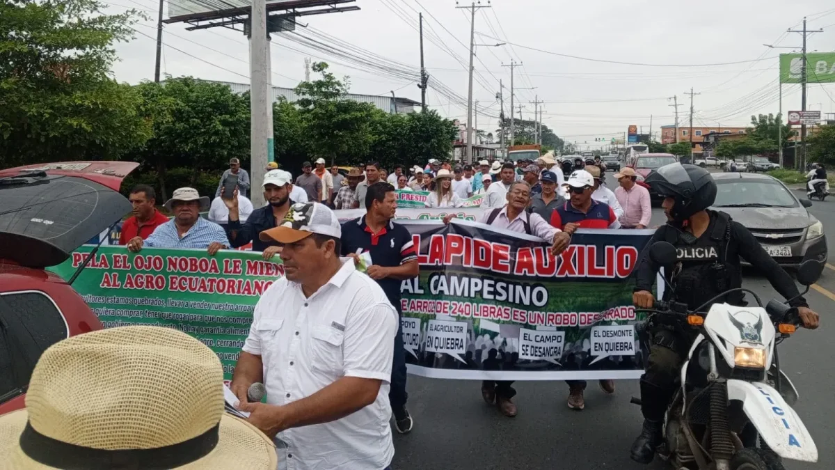 Un grupo de arroceros marchan en Babahoyo, piden atención del Gobierno para el sector de la agricultura.