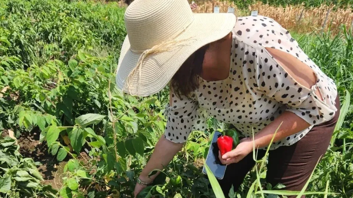Banco privado de Ecuador dará crédito para varios sectores como la agricultura.
