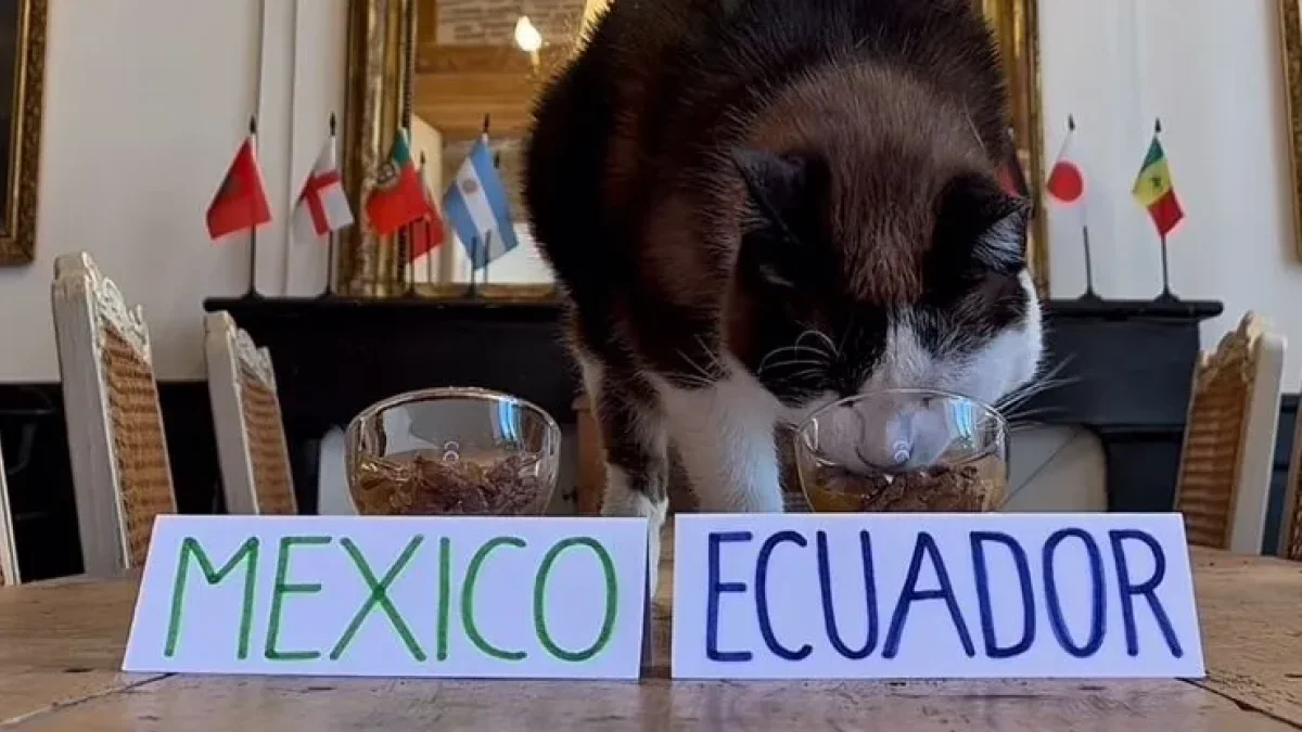 Momento exacto en el que Nimbus se acerca al recipiente de Ecuador y desata la euforia de sus seguidores