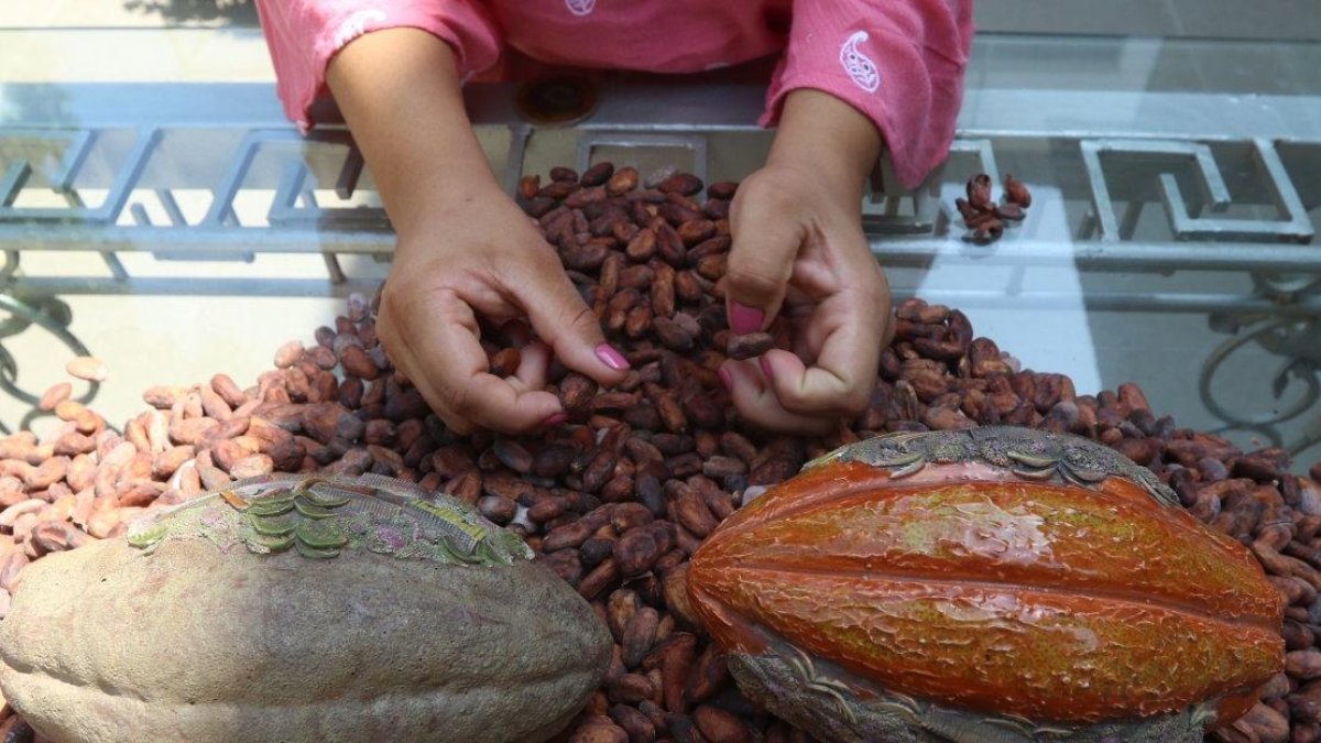 Entre los productos agrícolas ofertados en el catálogo