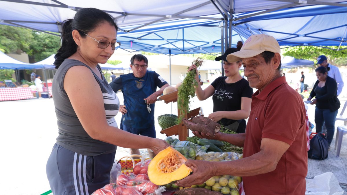 Comercialización. Oferta de frutas, verduras y alimentos procesados se exhiben ferias agroecológicas.