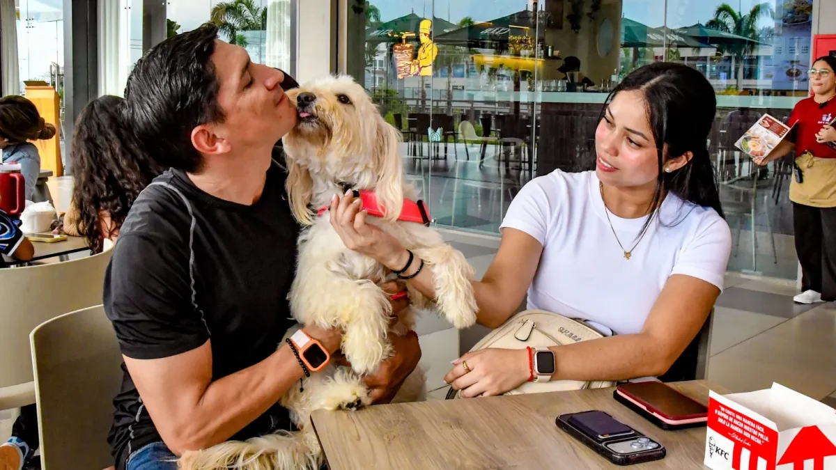 Cafeterías, restaurantes y comercios amplían sus espacios para recibir a las mascotas.