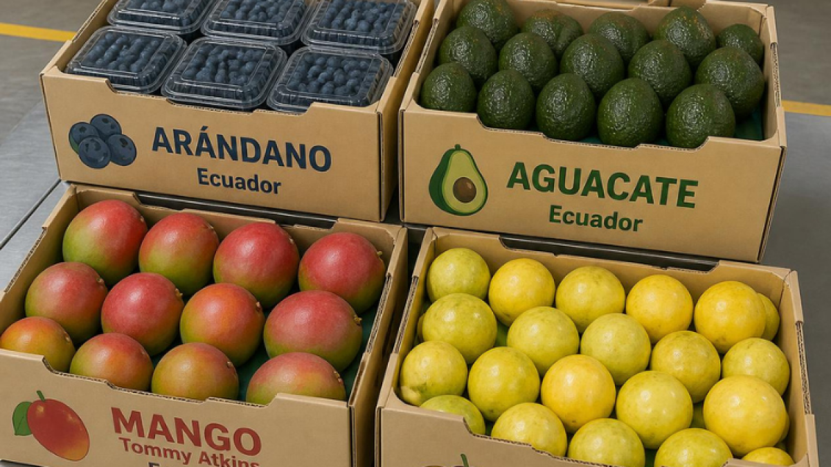 El mango y el arándano combinaron mayor volumen con mejores precios, mientras que en aguacate y maracuyá casi todo el crecimiento en valor se explica por exportar más cantidad.