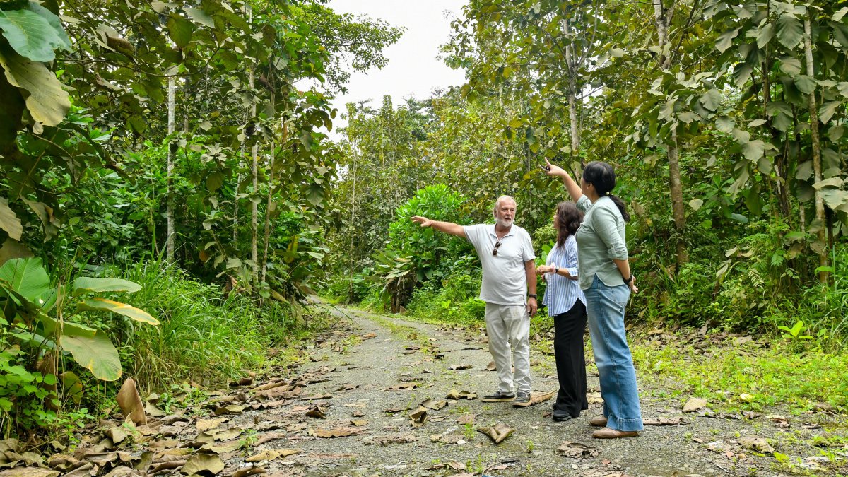 La madera ecuatoriana transita entre mayores costos de producción, extracción y logística