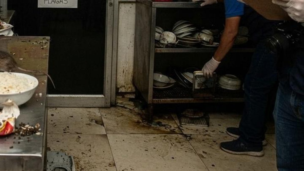 Arcsa realizó una inspección sanitaria en un restaurante de comida oriental ubicado en Durán, donde detectó varias irregularidades.