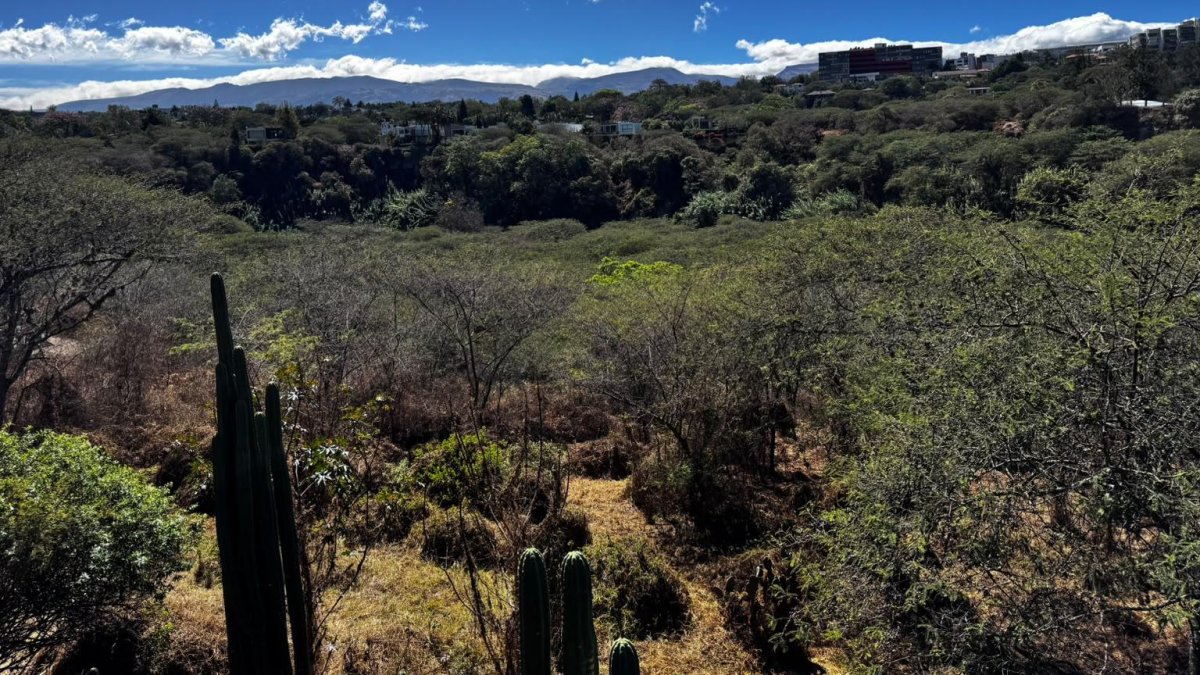 El parque Los Algarrobos es un bosque seco nativo que resiste al crecimiento habitacional del Valle de Tumbaco.