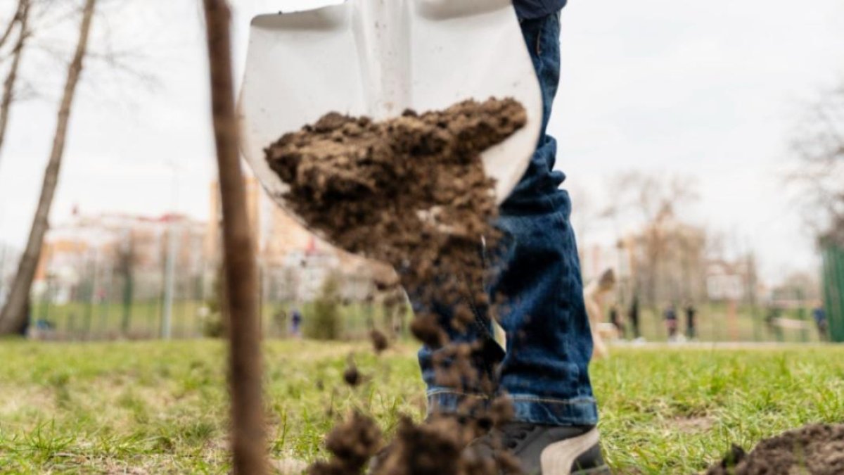 La reforma establece nuevas disposiciones para incorporar la educación ambiental y el desarrollo sostenible en el sistema educativo ecuatoriano.