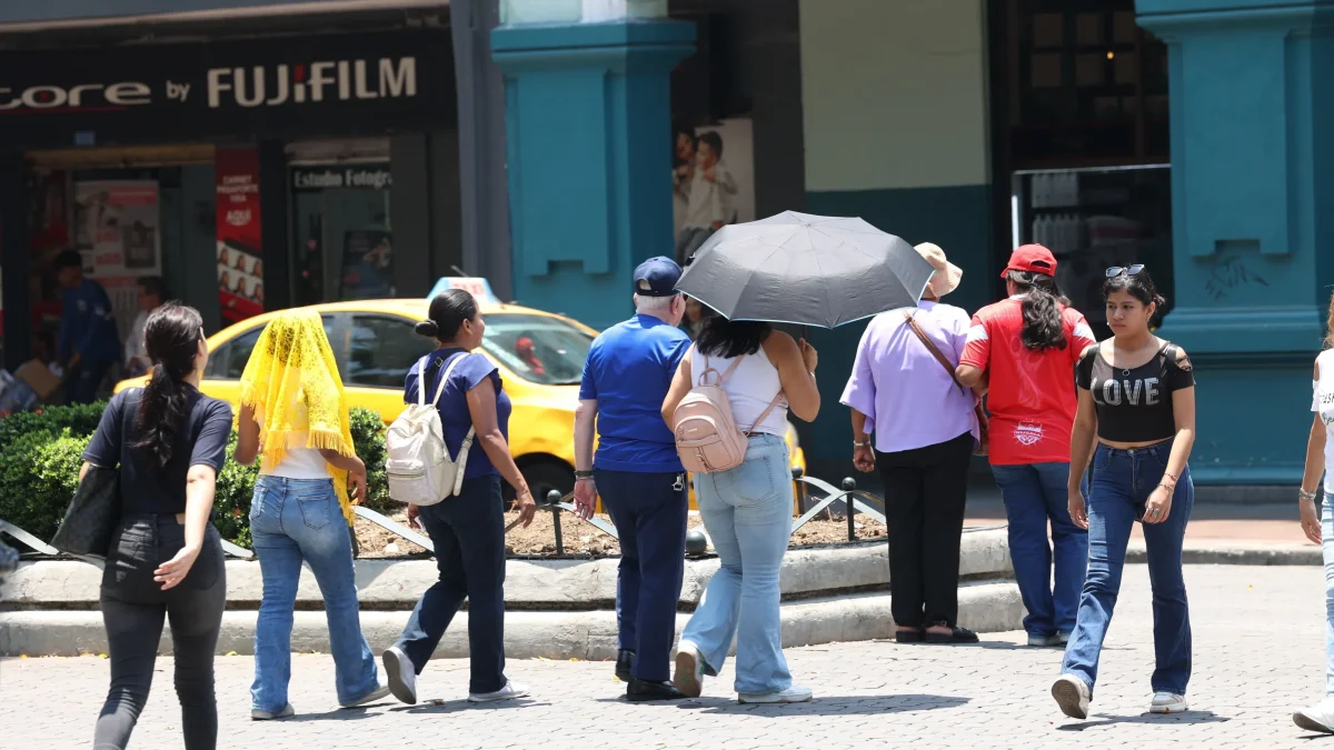 El cemento domina buena parte del paisaje urbano de Guayaquil, mientras los espacios verdes siguen siendo insuficientes en distintos sectores.