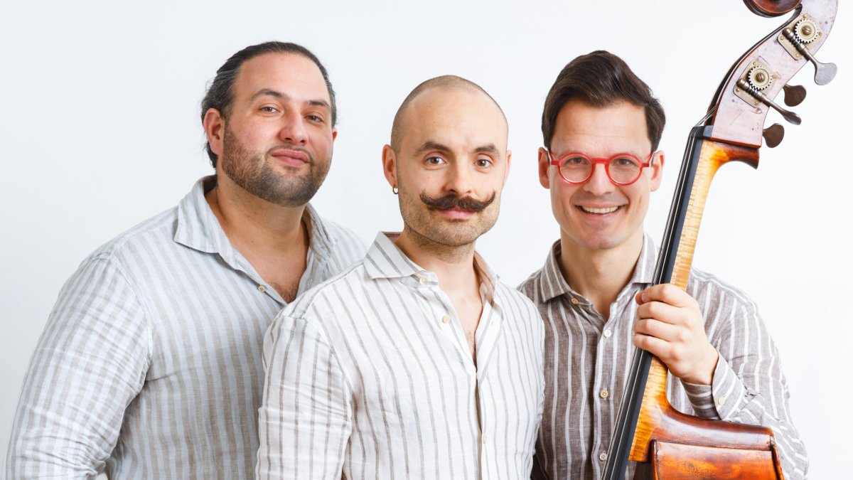 Die Drahtzieher está integrado por los músicos Bobby Guttenberger (guitarra), David Klüttig (guitarra) y Kolja Legde (contrabajo).
