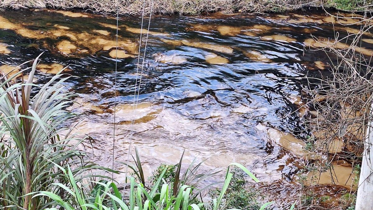 El crudo desciende por el río Cupa, en Quinindé, mientras avanzan los trabajos para contener la contaminación y evitar que se extienda a otros sectores.