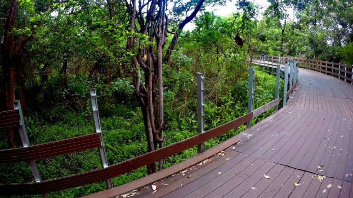 La isla Santay es un ecosistema tropical de la costa ecuatoriana.