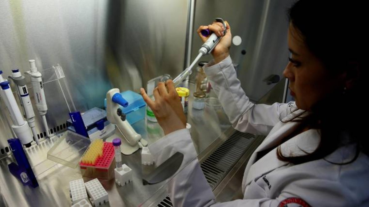 Linda Guamán participa en una investigación que busca equiparar el olor y sabor de la carne vegetal con la animal.