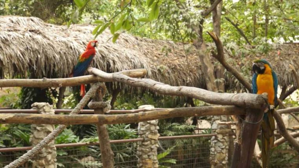 Hasta septiembre de 2018, los agentes de la UPMA han realizado 437 rescates en la Zona 8 que comprende Guayaquil, Durán y Samborondón.