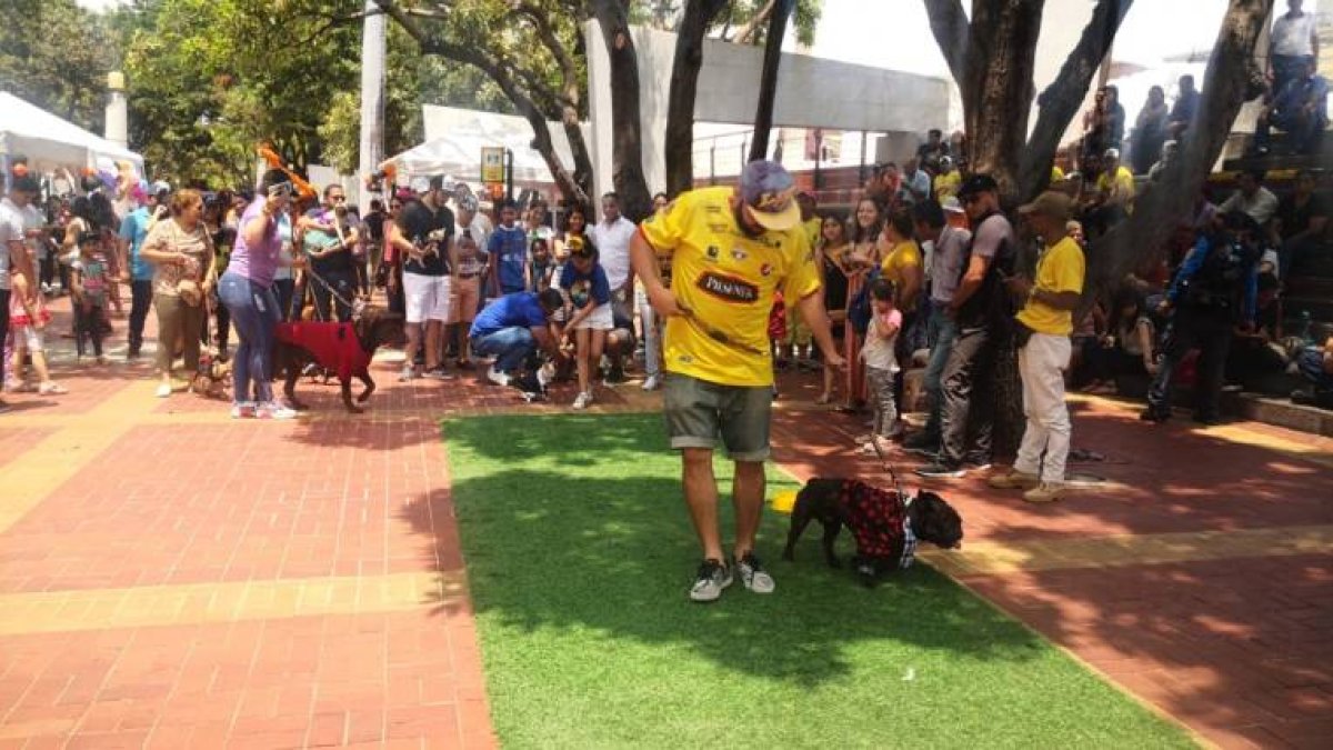 Desde el domingo 20 de octubre, los malecones permitirán el ingreso de las mascotas