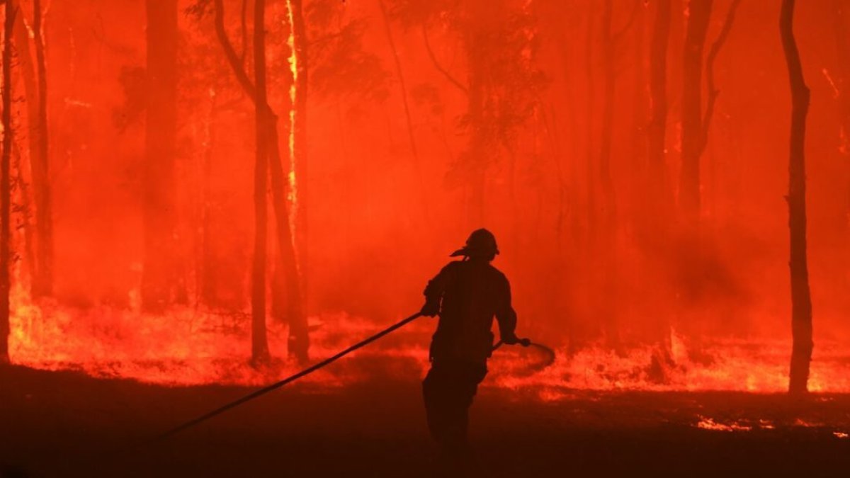 Cada año en Julio, empieza la temporada de incendios en El Pantanal, Brasil.