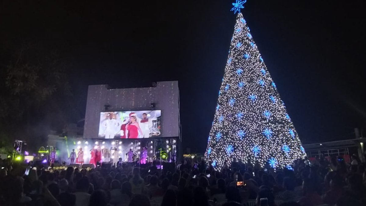 En la estructura, en cuya punta sobresale también una enorme estrella gris que en cuestión de segundos se tornó multicolor, figuran 80 copos de nieve llamaron la atención.