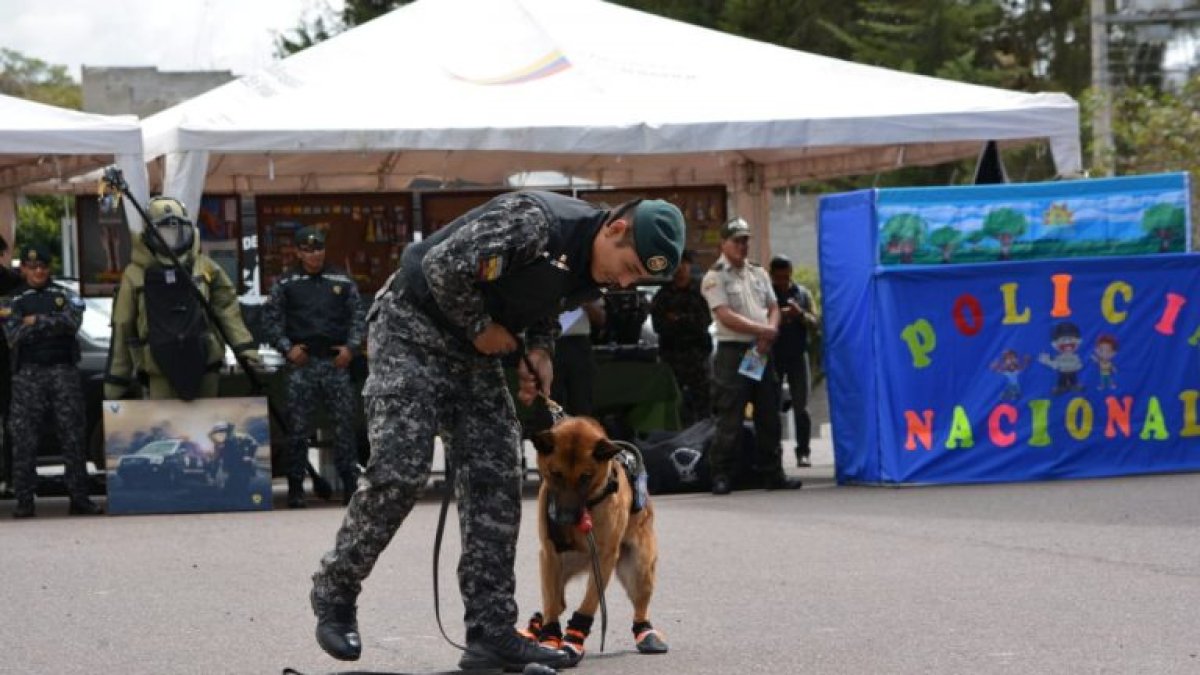 Diversas ferias se desarrollarán en centros educativos.