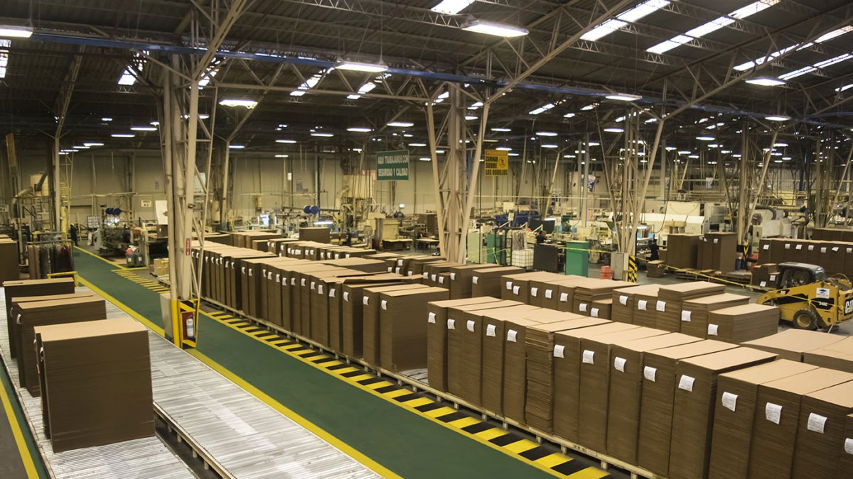 Surpapelcorp adquirió las acciones de Procarsa (Dole) en el año 2009.