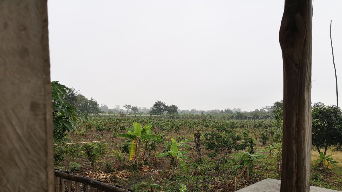 En Jujan, Guayas, llovió ligeramente