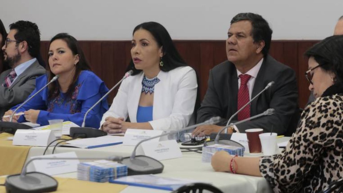 Comisión. La presidenta del Consejo Nacional Electoral, Diana Atamaint, compareció ayer en la Asamblea Nacional por el caso Arroz Verde.