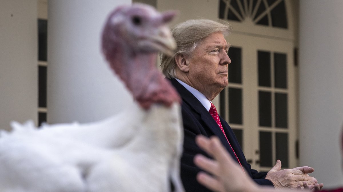 Referencial. El hecho ocurrió durante una recepción este martes 3 de diciembre en el palacio de Buckingham.