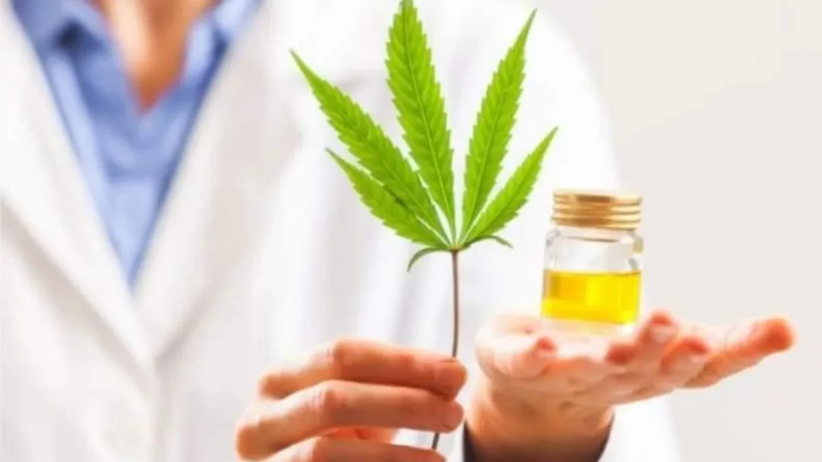 Varios estudios destacan el valor medicinal del aceite de cannabis.