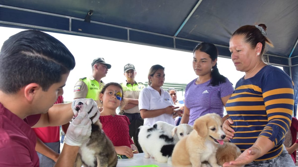 Los cachorros que nazcan en la maternidad serán dados en adopción.