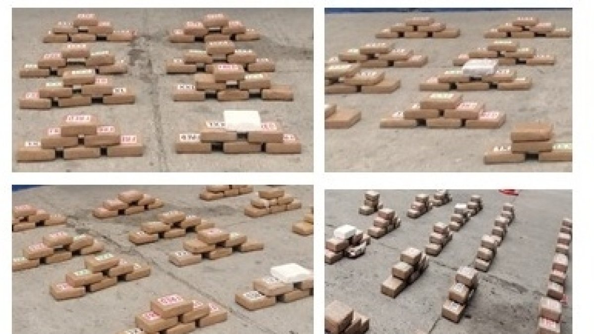 El alcaloide fue encontrada en sacos de yute.